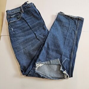 Abercrombie & Fitch Curve Love 90s Straight Ultra High Rise Jeans 34 18L